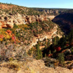 Club Saturday Ride: Jamboree Pre-ride South Fork Indian Canyon