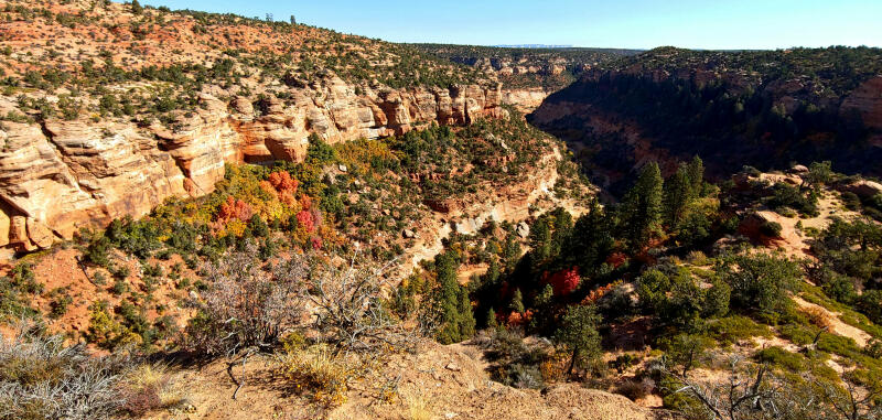 Club Saturday Ride: Jamboree Pre-ride South Fork Indian Canyon